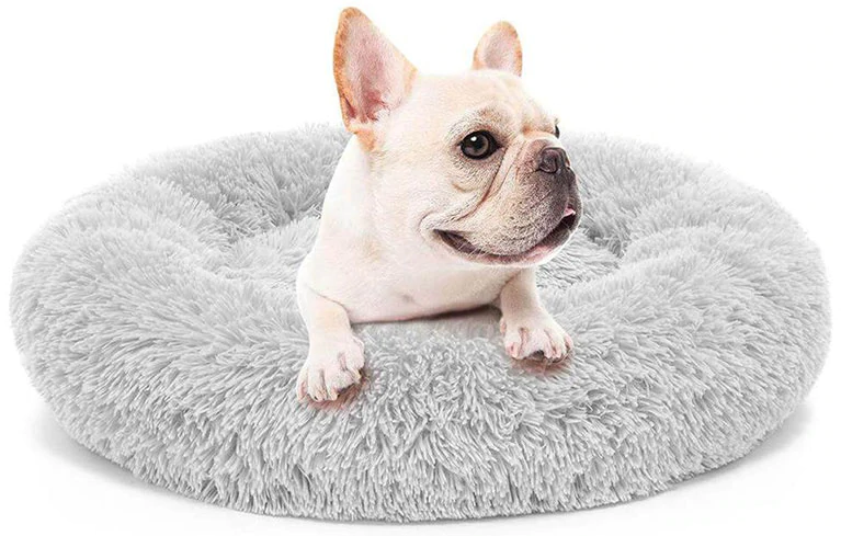 Pupshow dog bed review