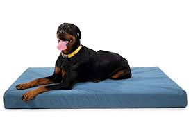 best dog bed for rottweiler reviews