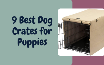 9 Best Dog Crates for Puppies
