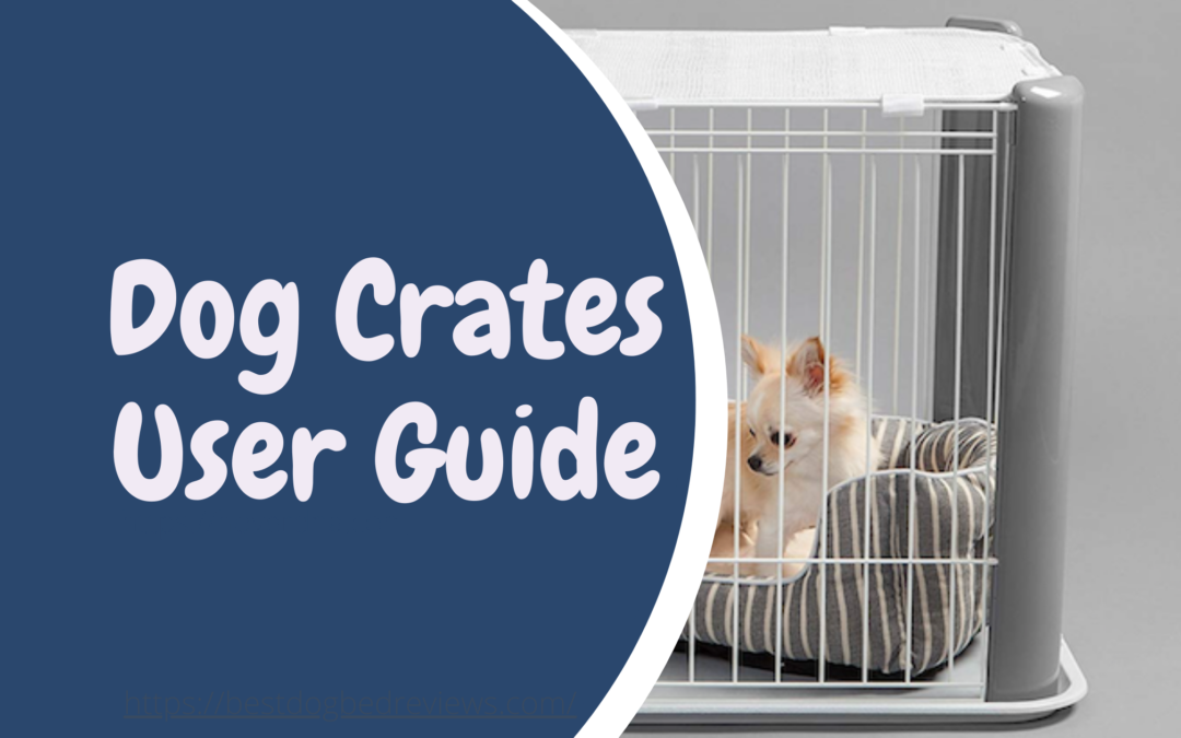 Dog Crates User Guide- blog cover image